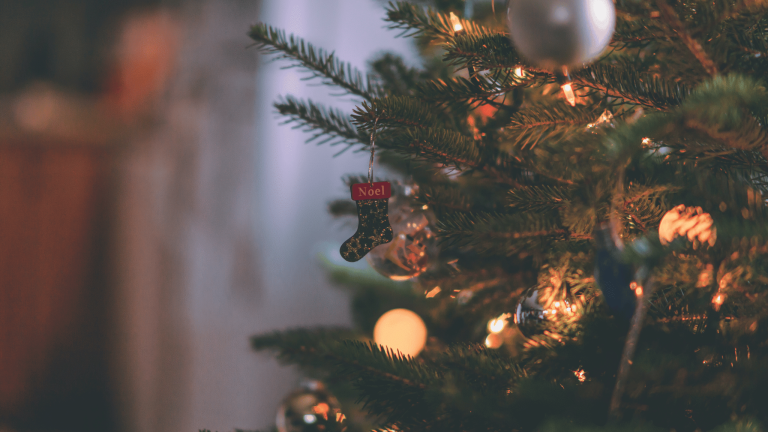 Geschmückter Weihnachtsbaum – Informationen zu Weihnachtsfeiern im Restaurant Omega